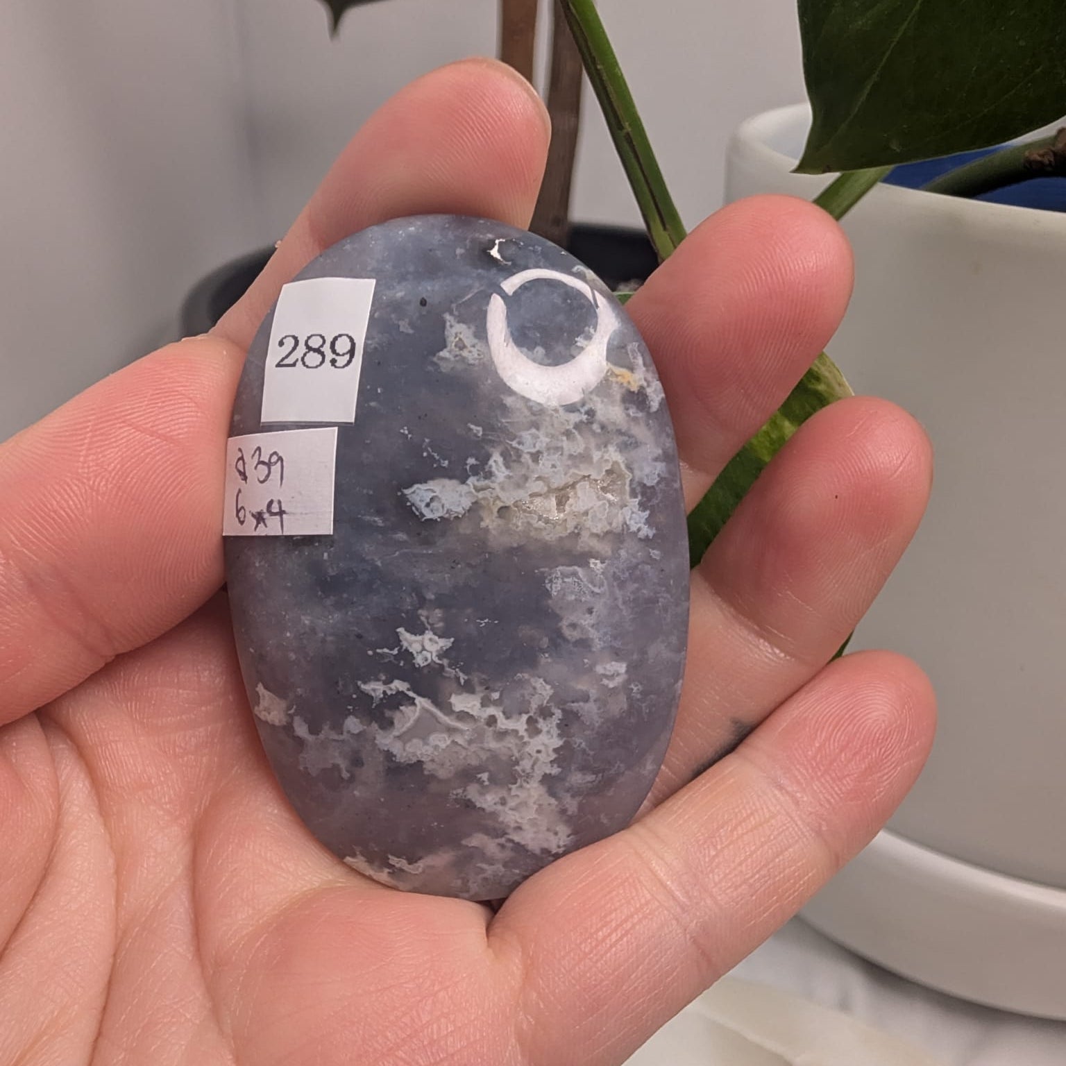 Blue Plume Agate Palmstone