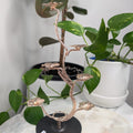 Rose Gold Floral Multi Crystal Sphere Display Stand