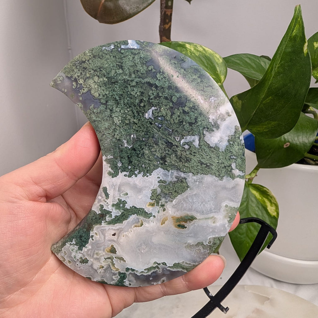 Moss Agate Crescent Moon on Metal Stand