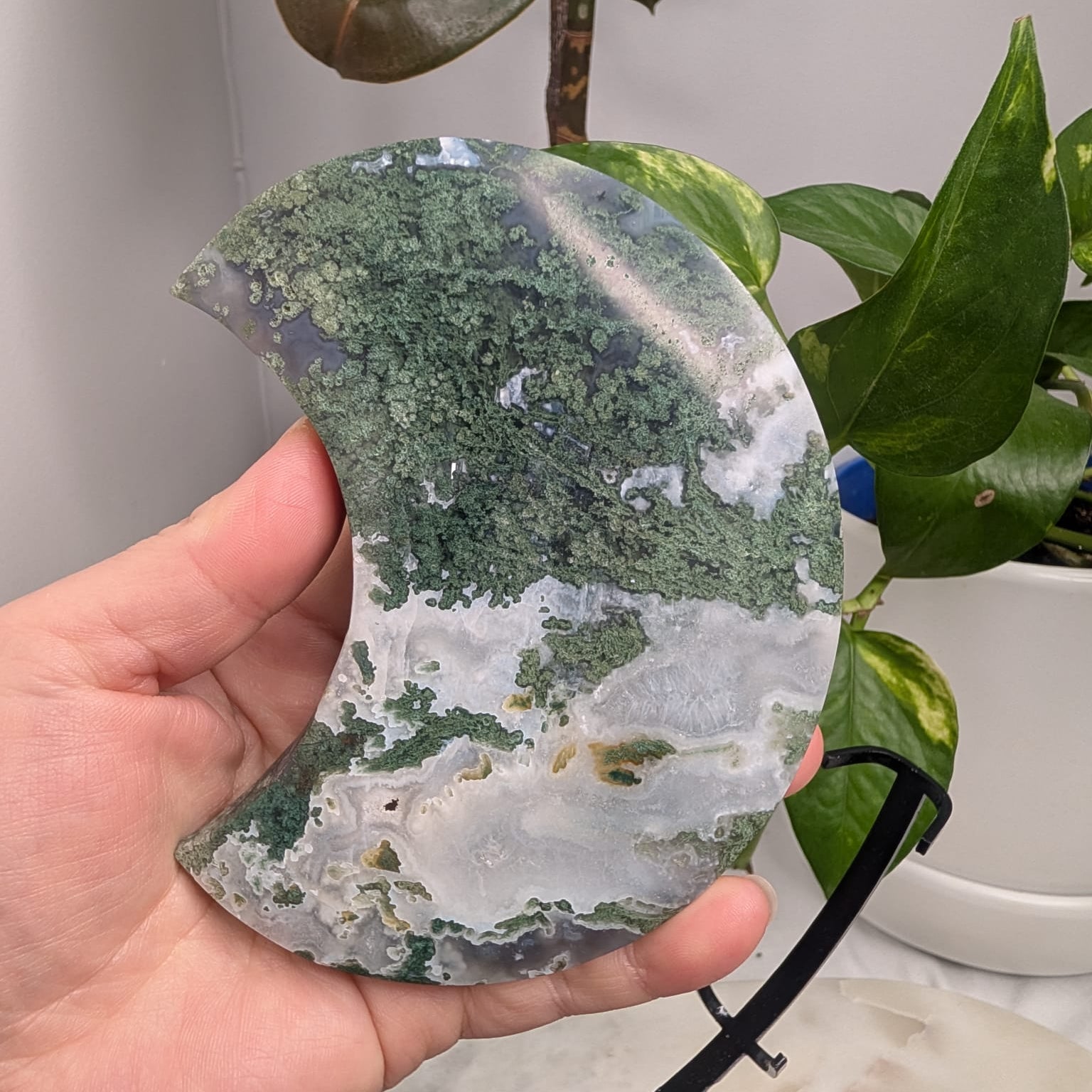 Moss Agate Crescent Moon on Metal Stand