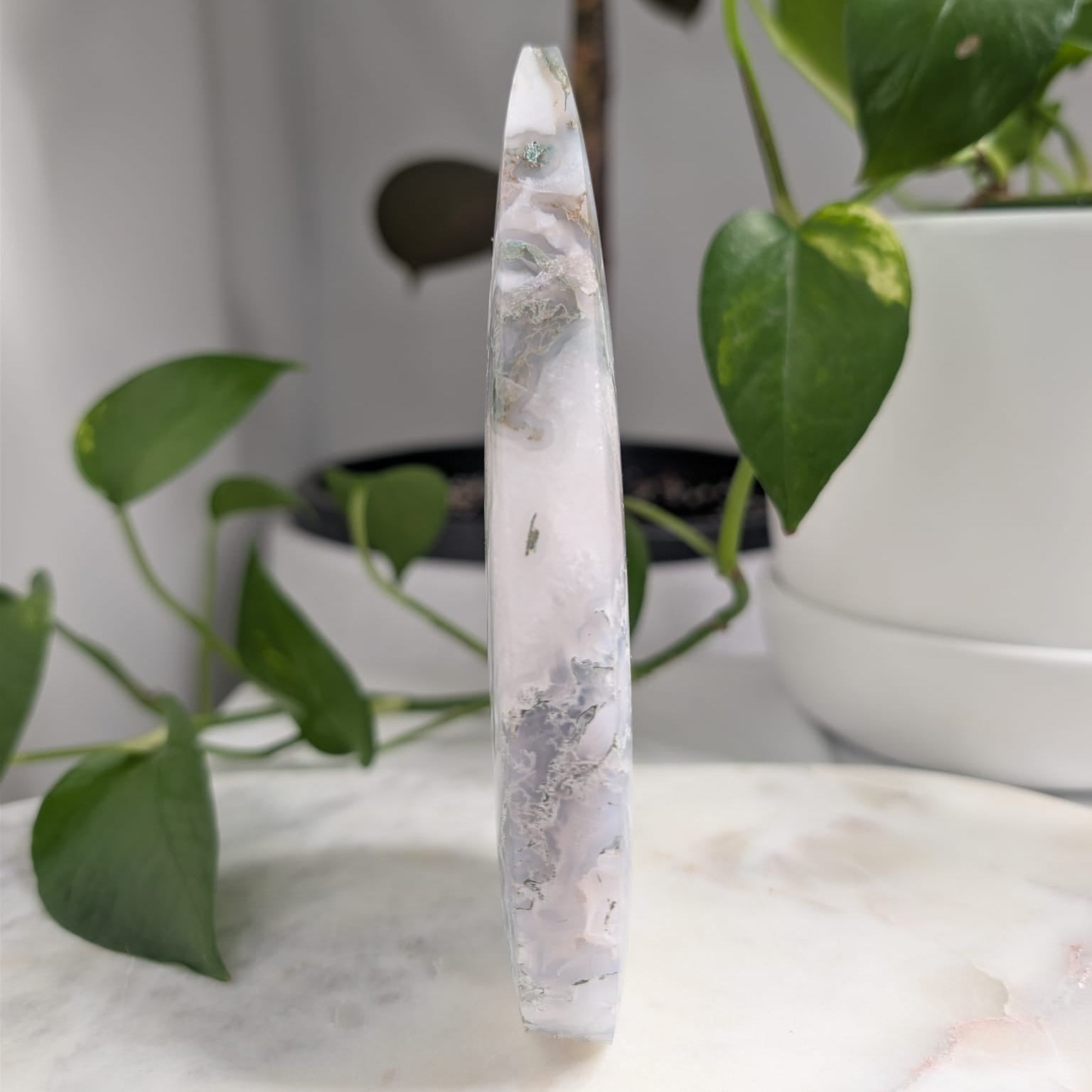Moss Agate Freeform