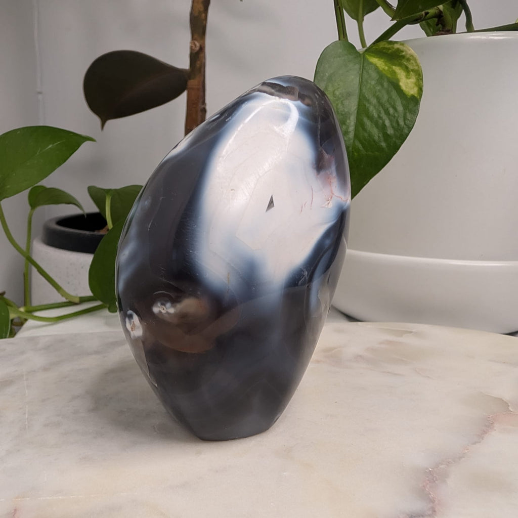 Orca Agate Freeform