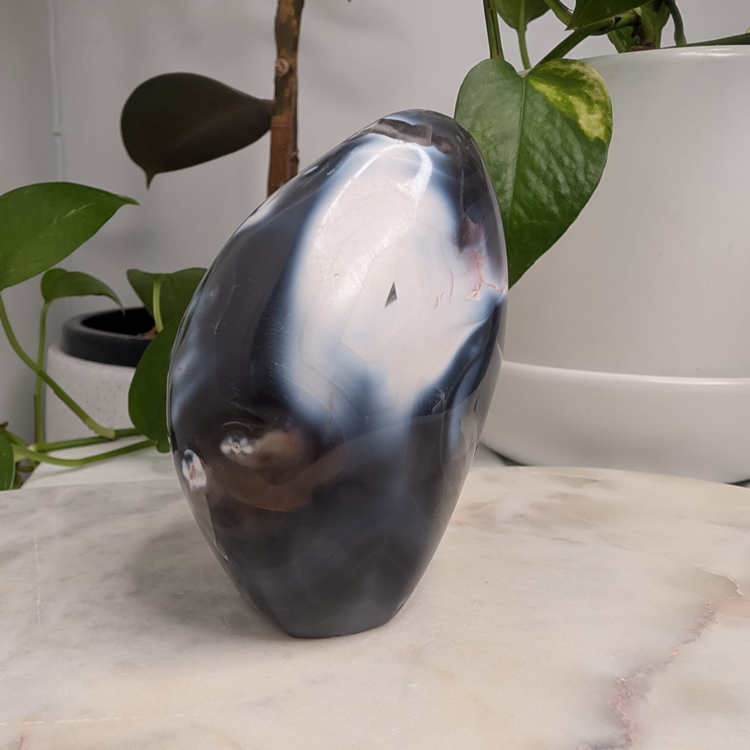 Orca Agate Freeform