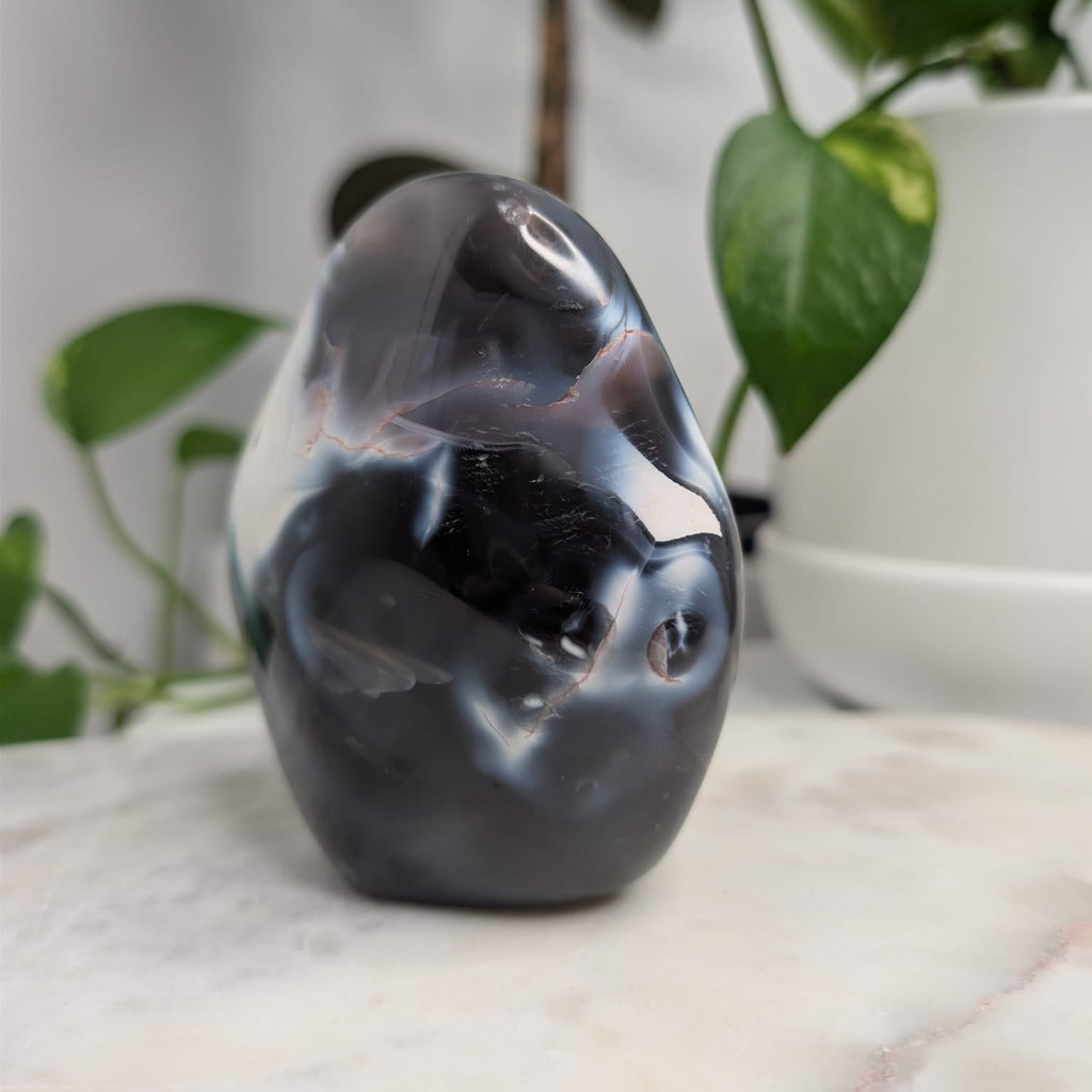 Orca Agate Freeform