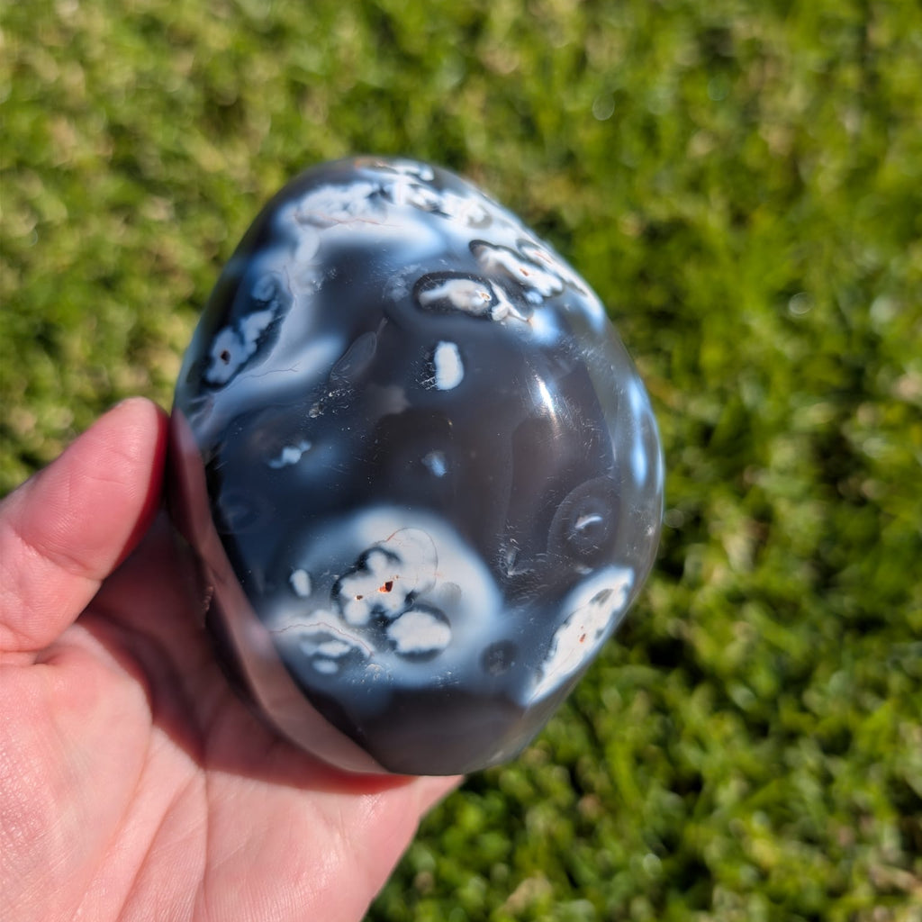 Orca Agate Freeform