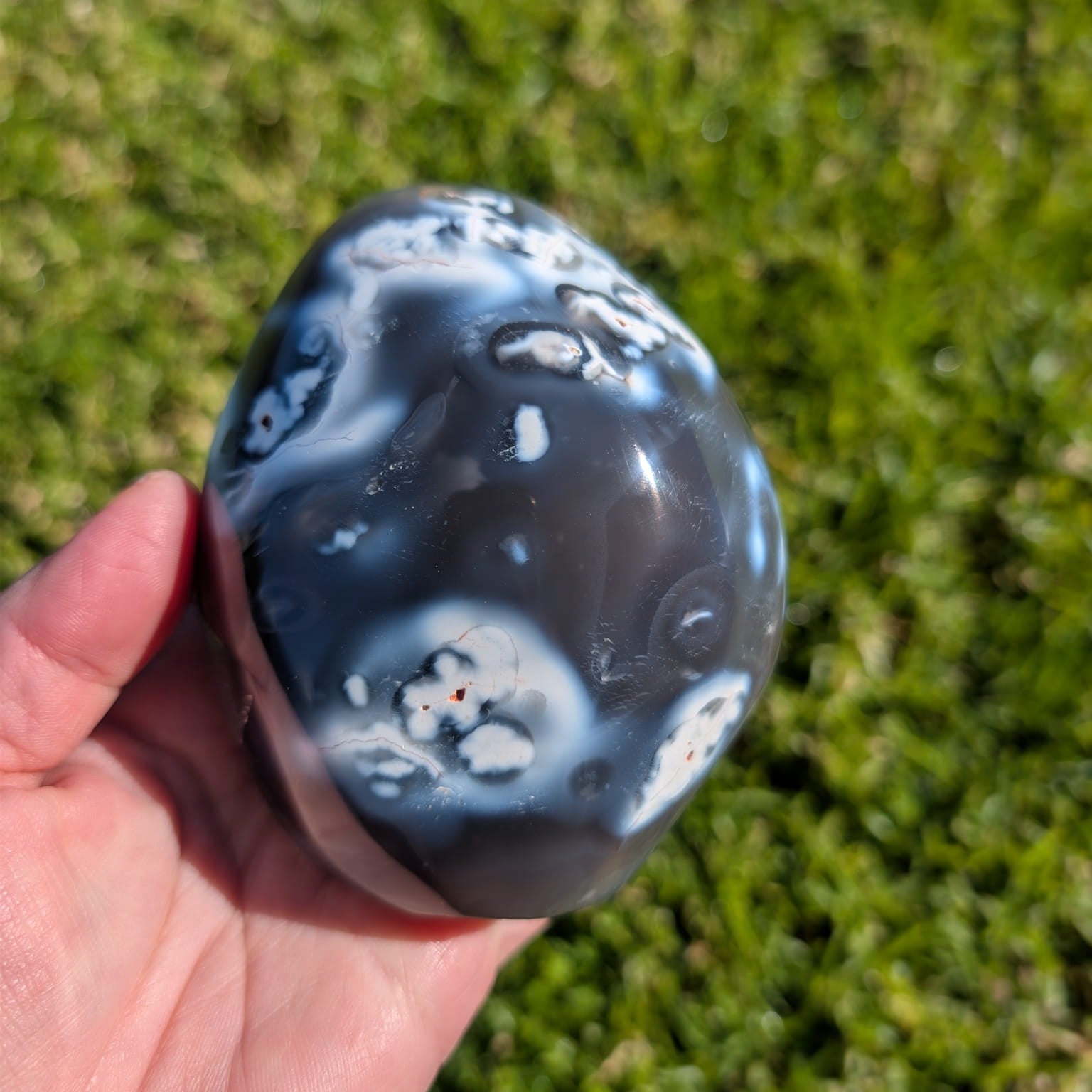 Orca Agate Freeform