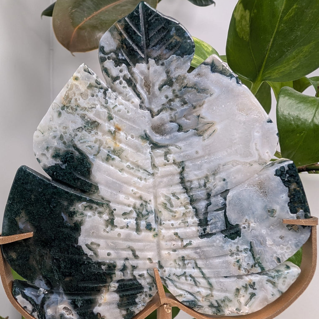 Moss Agate Leaf On Gold Stand