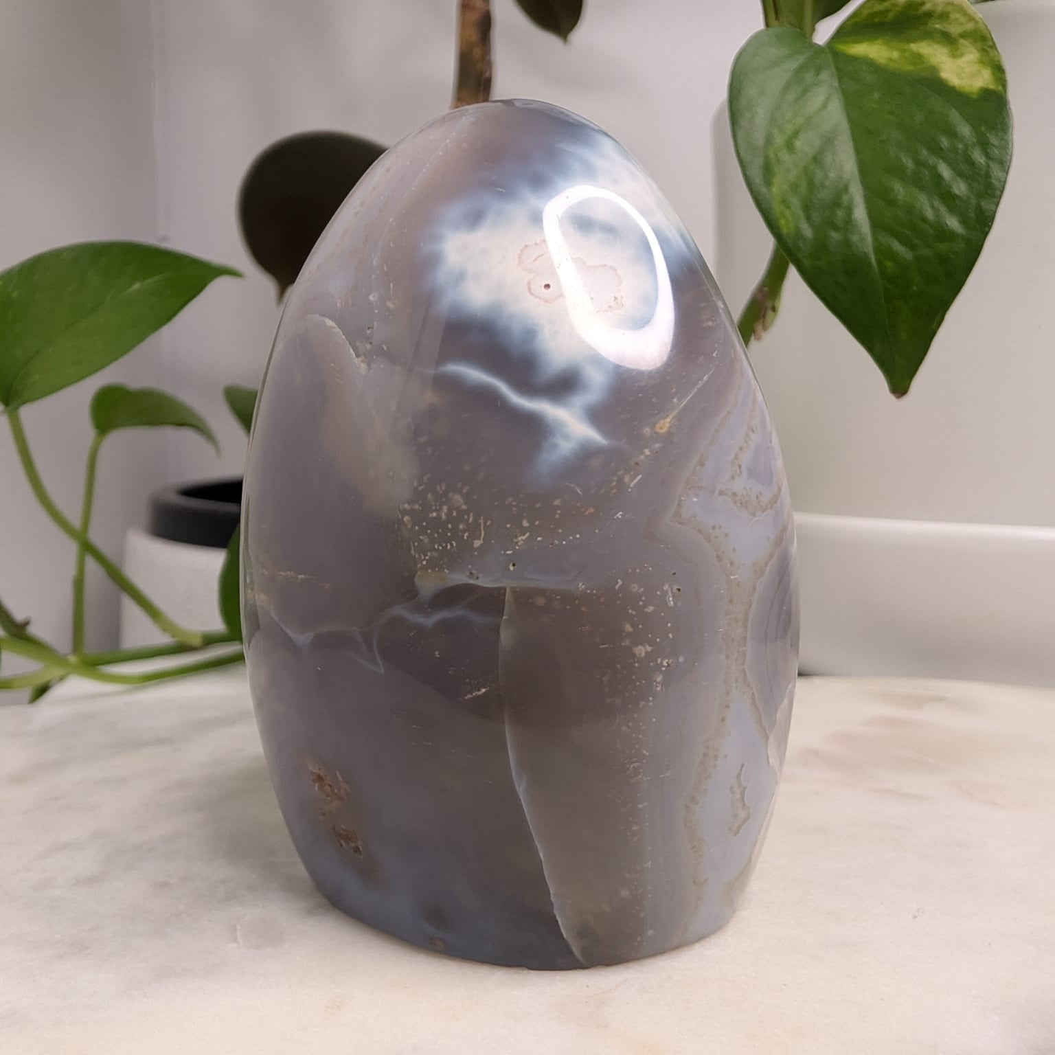 Orca Agate Freeform