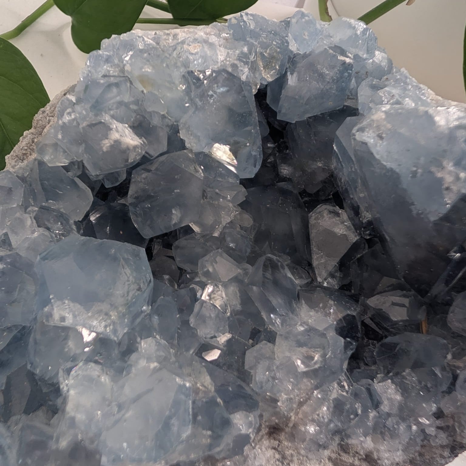 Celestite Cluster