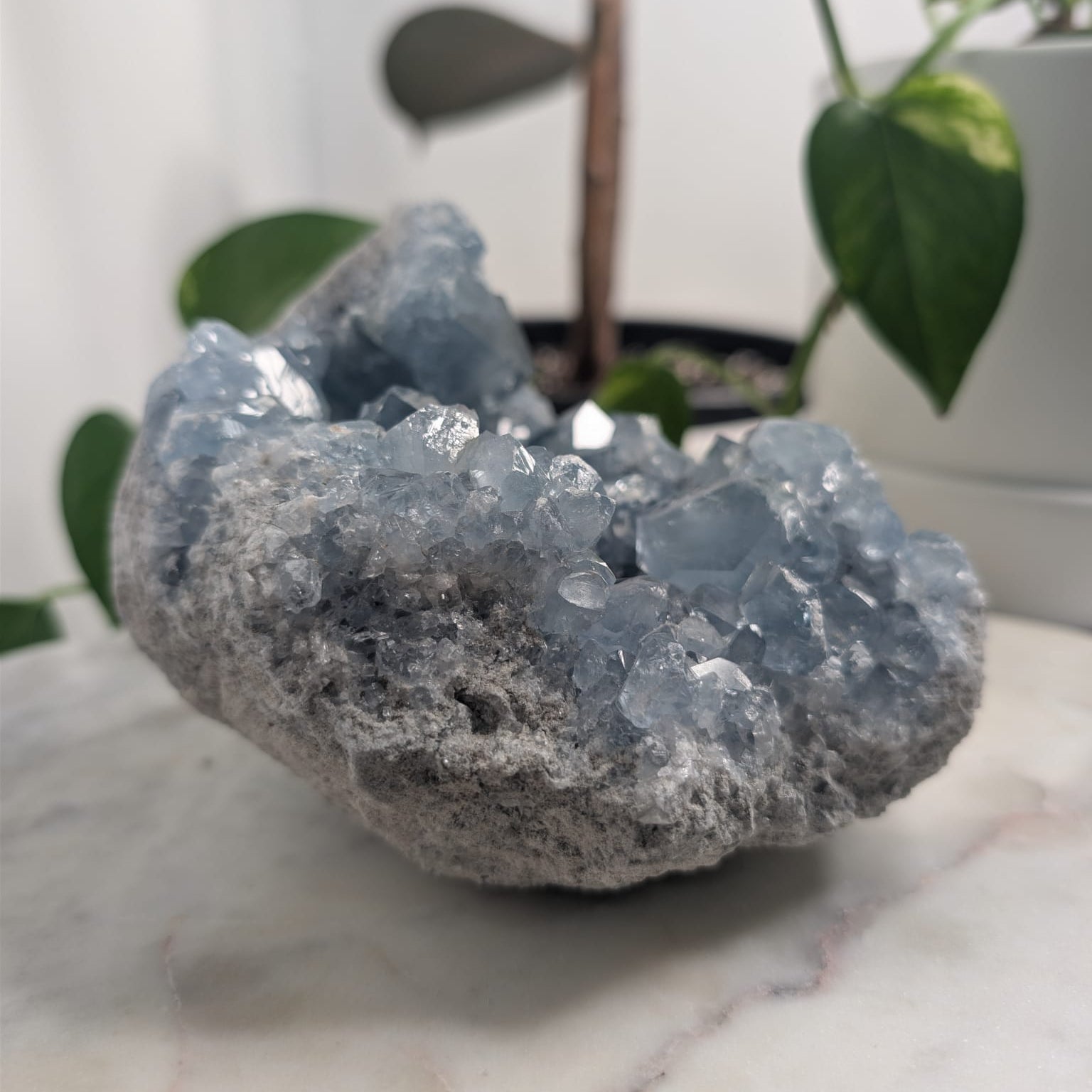 Celestite Cluster