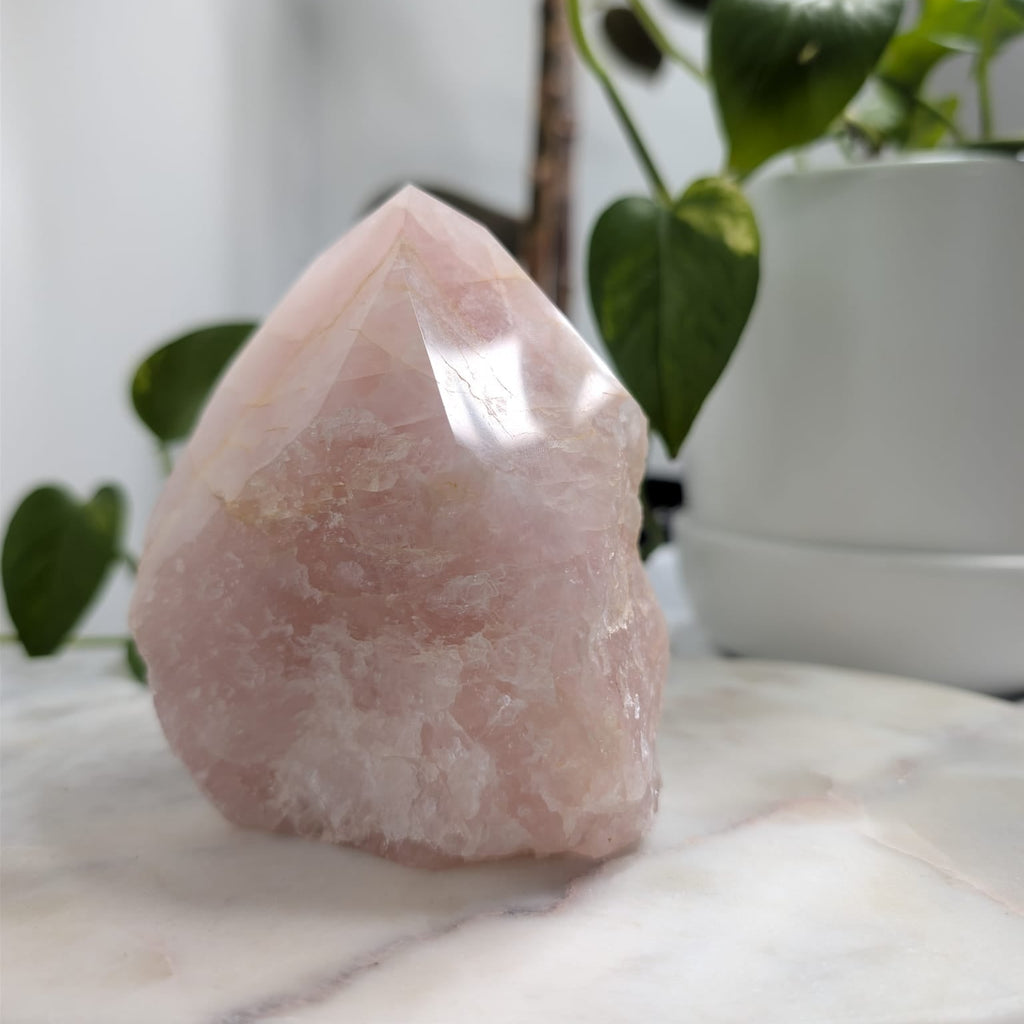 Semi-Polished Rose Quartz Freeform