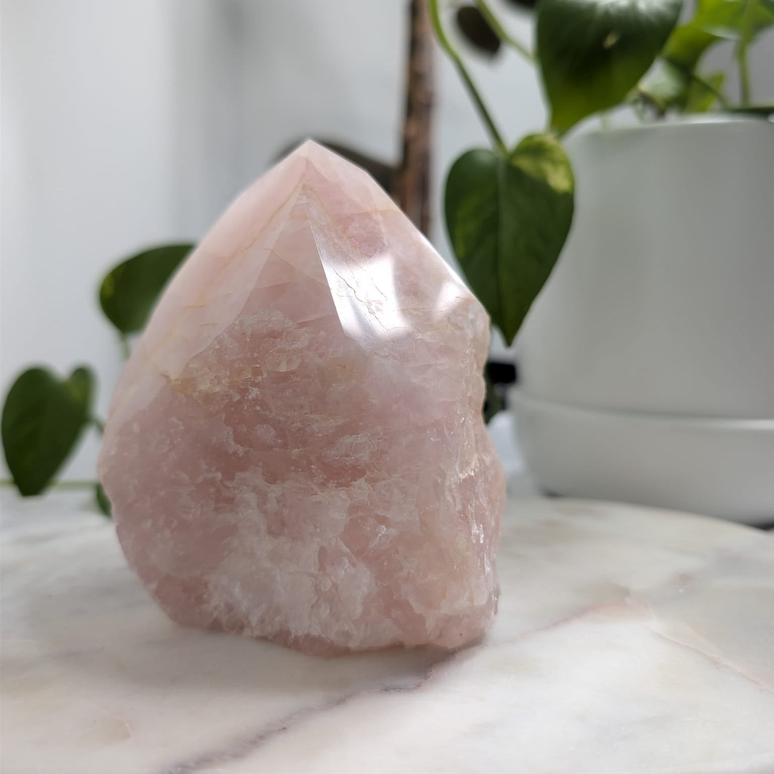 Semi-Polished Rose Quartz Freeform
