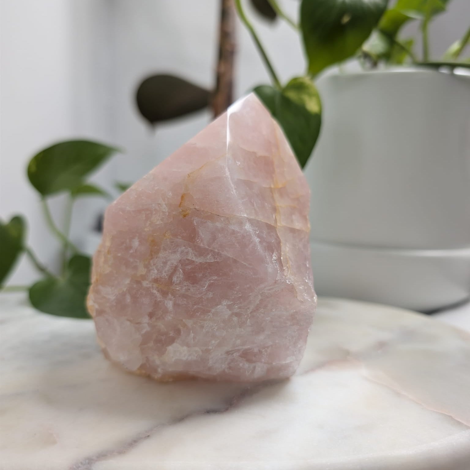 Semi-Polished Rose Quartz Freeform