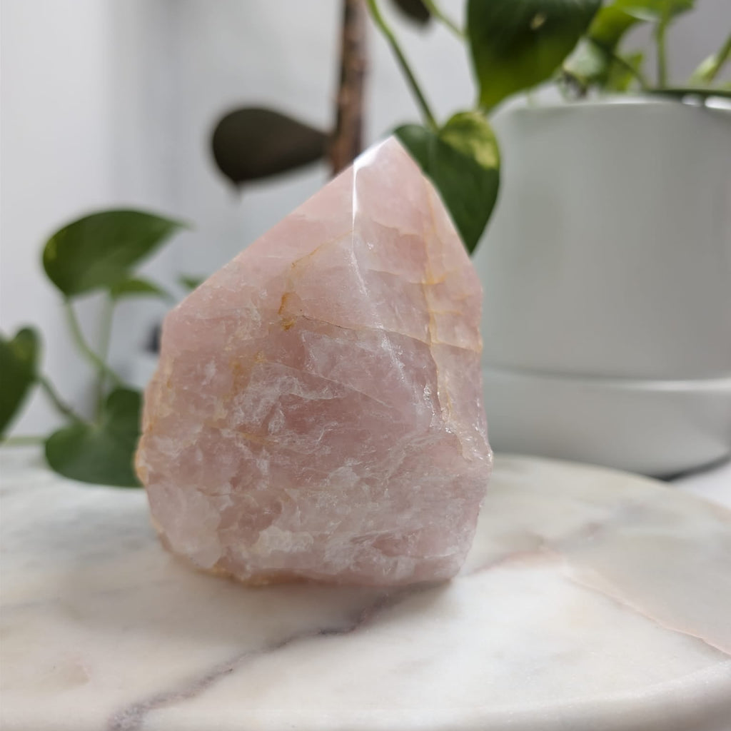 Semi-Polished Rose Quartz Freeform