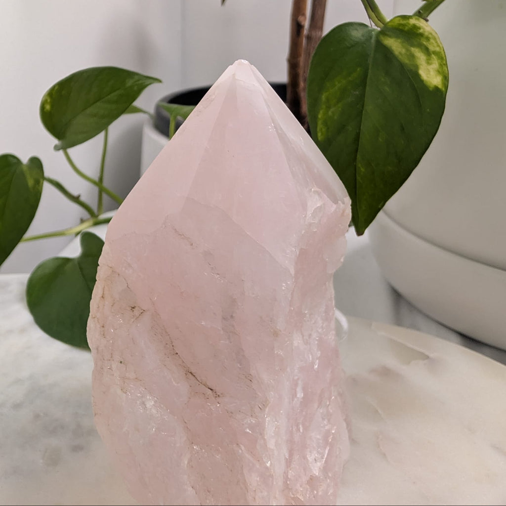 Semi-Polished Rose Quartz Freeform