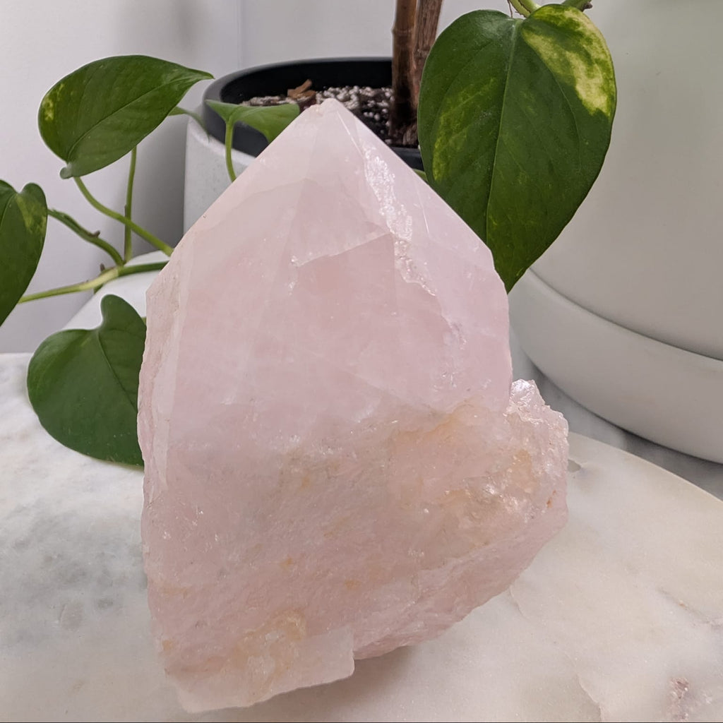 Semi-Polished Rose Quartz Freeform