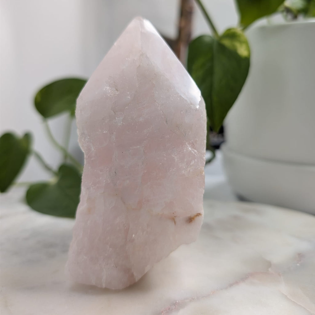 Semi-Polished Rose Quartz Freeform