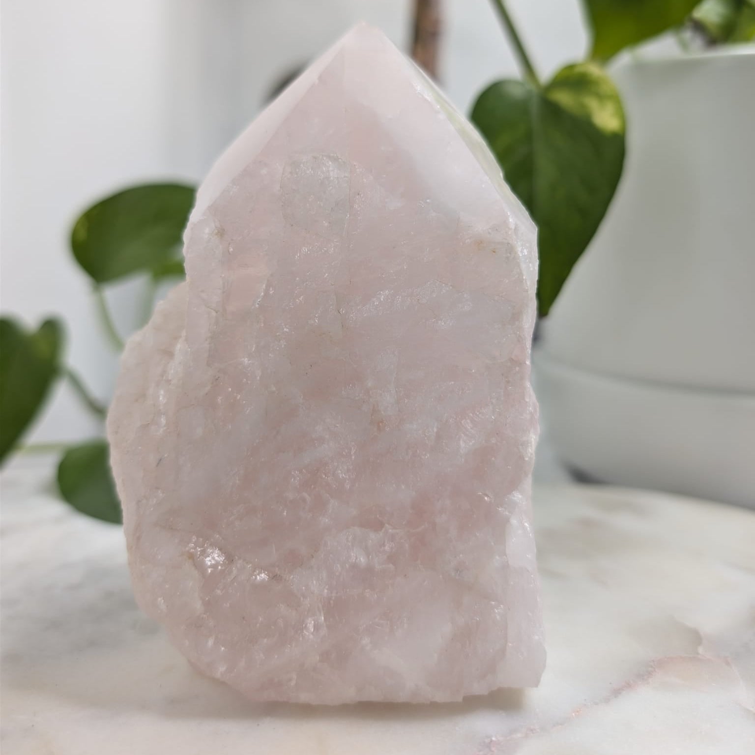 Semi-Polished Rose Quartz Freeform