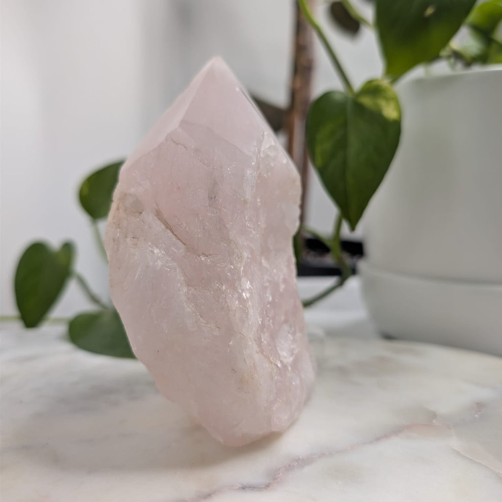 Semi-Polished Rose Quartz Freeform