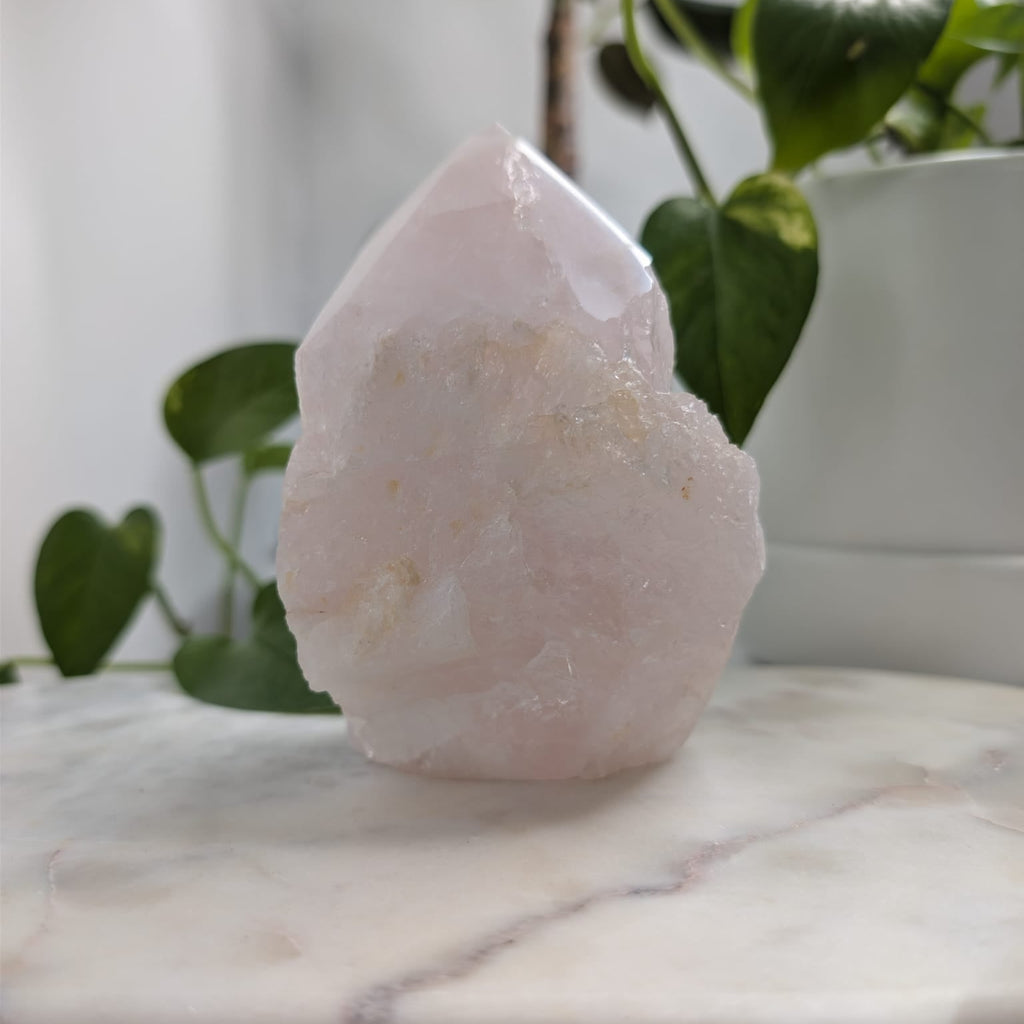 Semi-Polished Rose Quartz Freeform