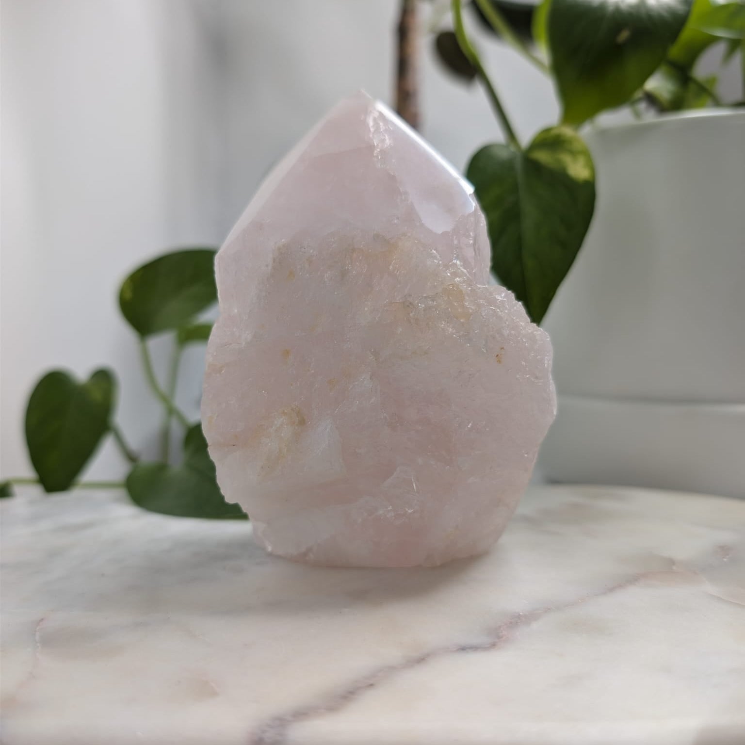 Semi-Polished Rose Quartz Freeform