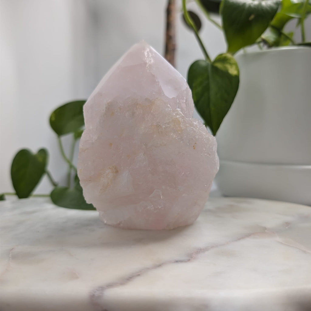 Semi-Polished Rose Quartz Freeform