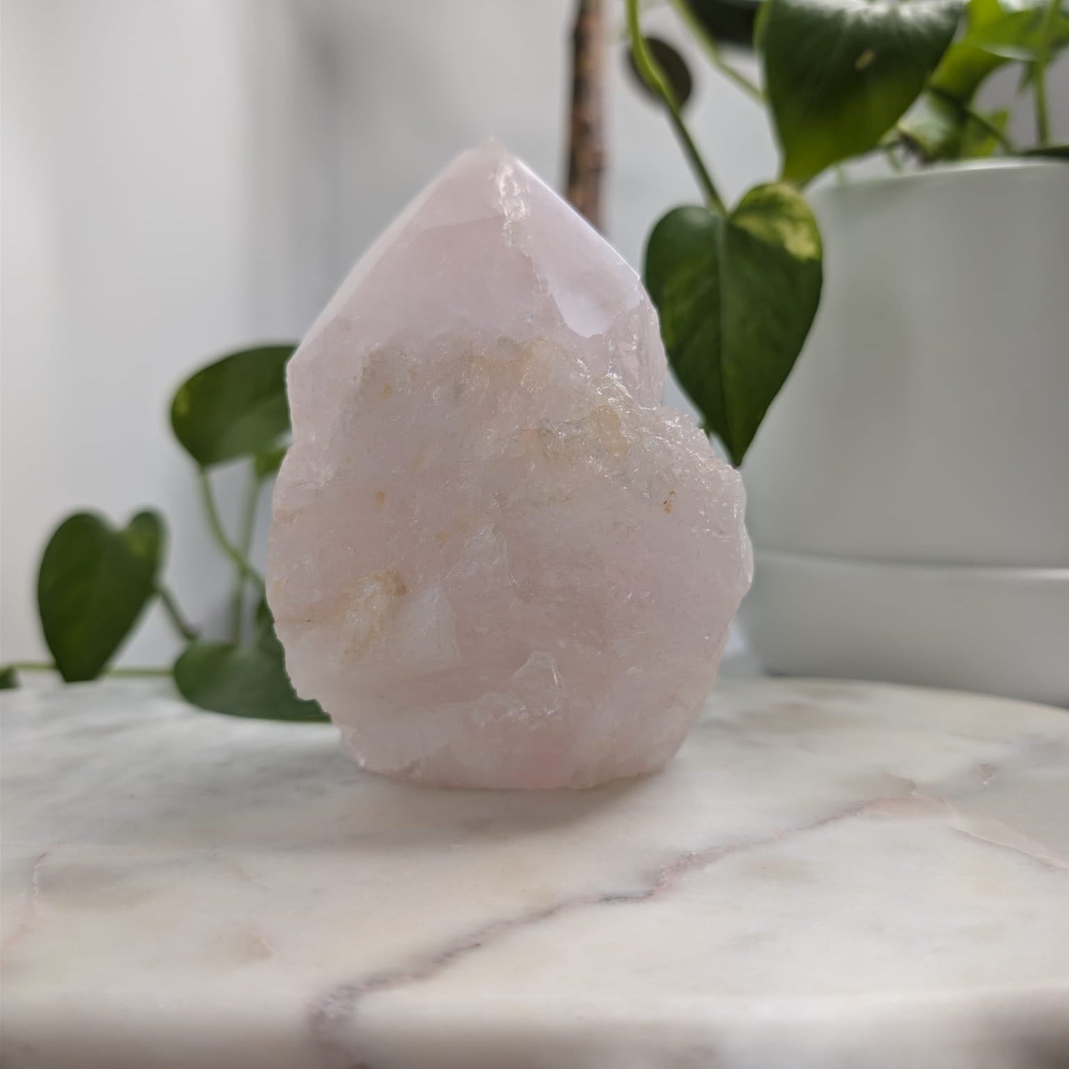 Semi-Polished Rose Quartz Freeform