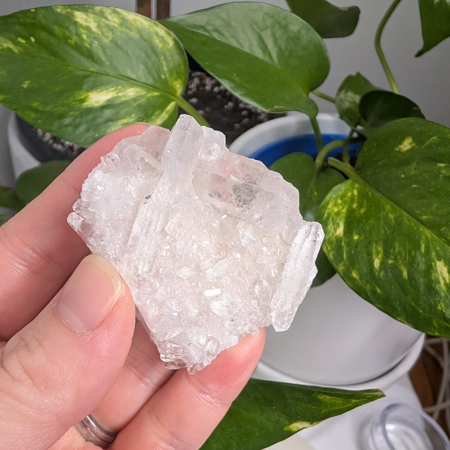 Clear Quartz Cluster