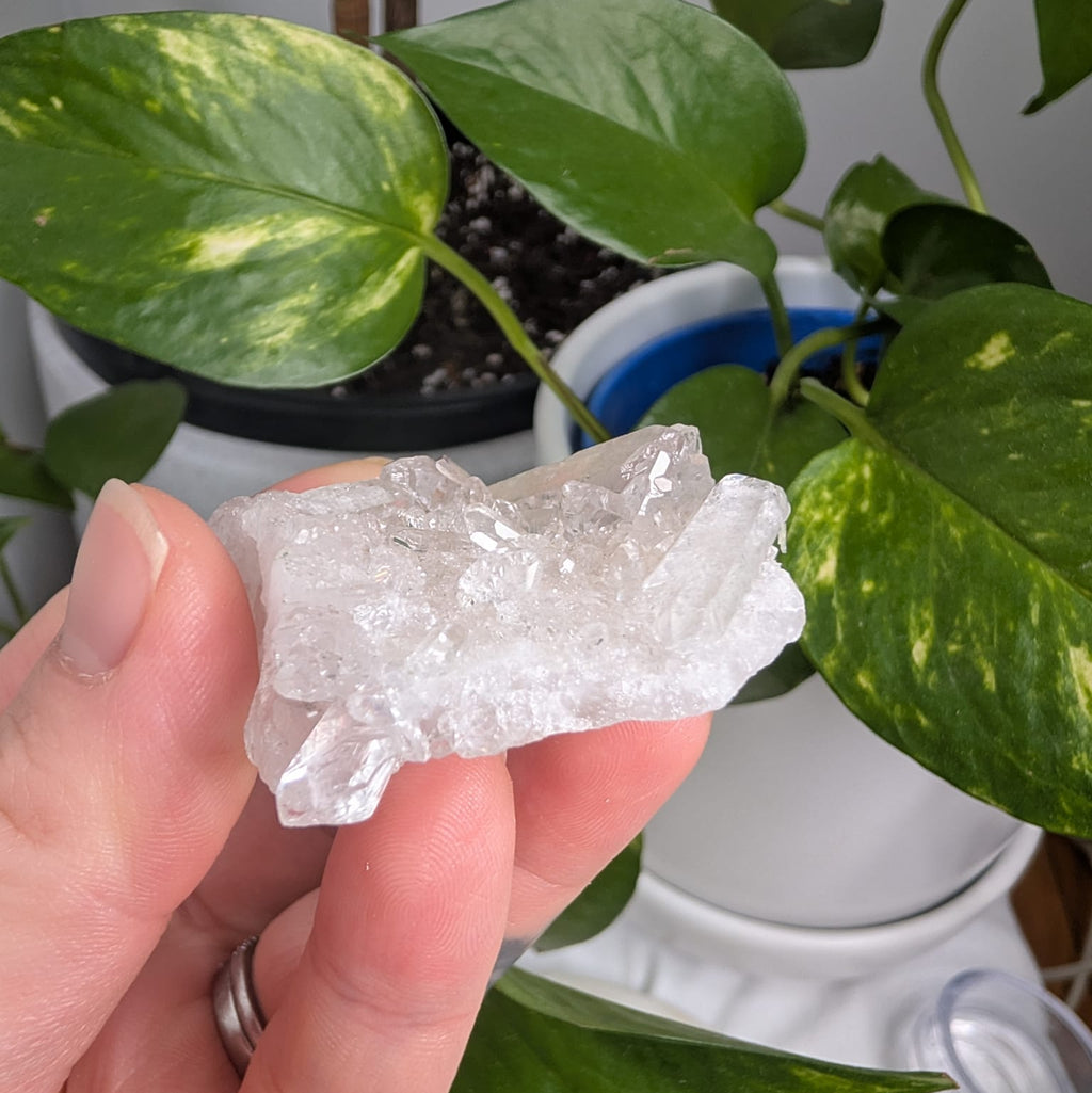 Clear Quartz Cluster