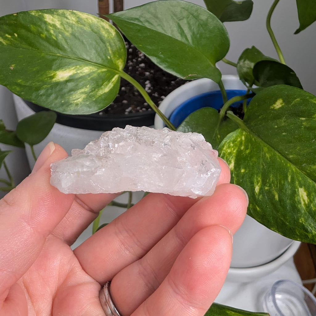 Clear Quartz Cluster