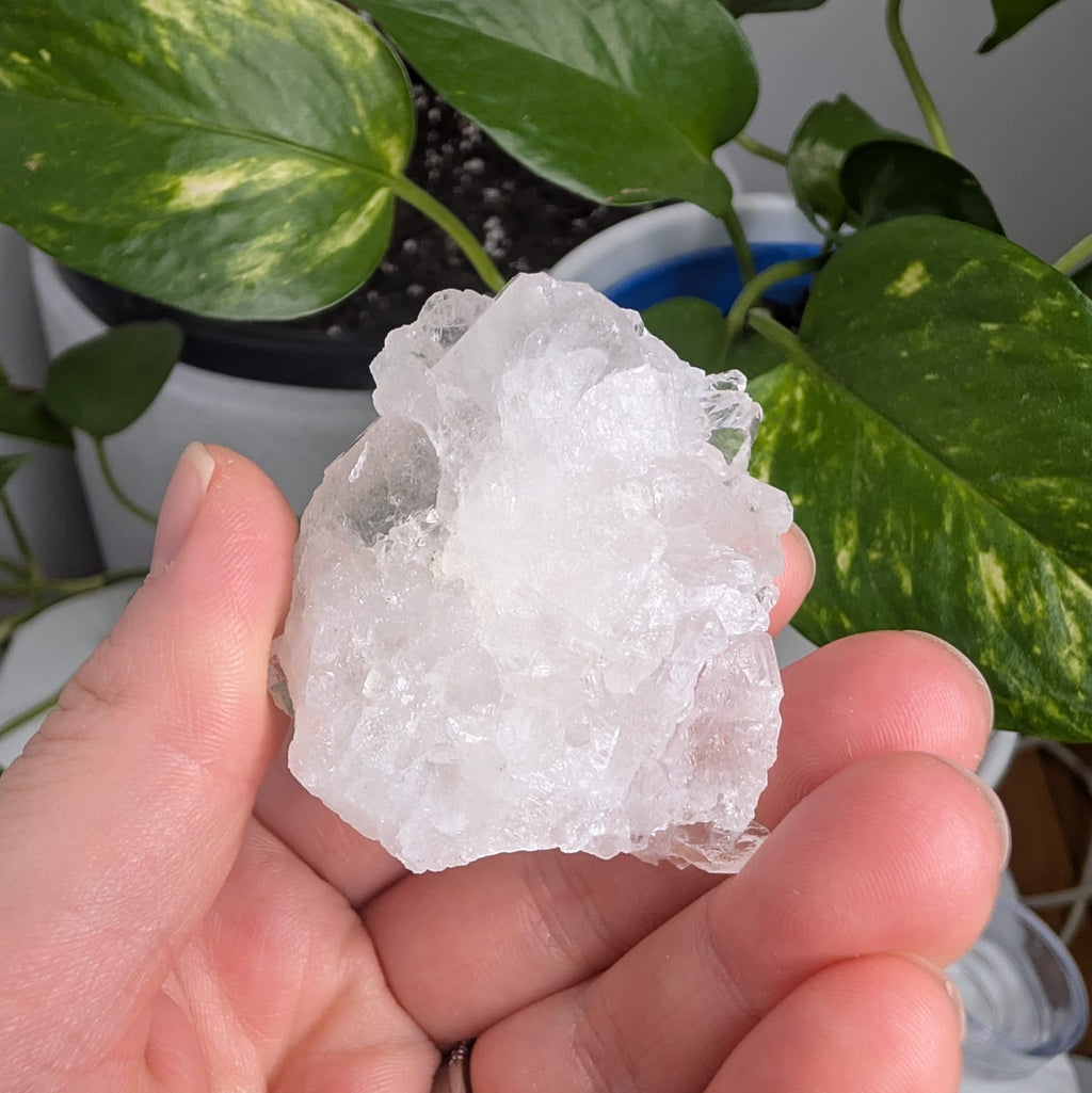 Clear Quartz Cluster