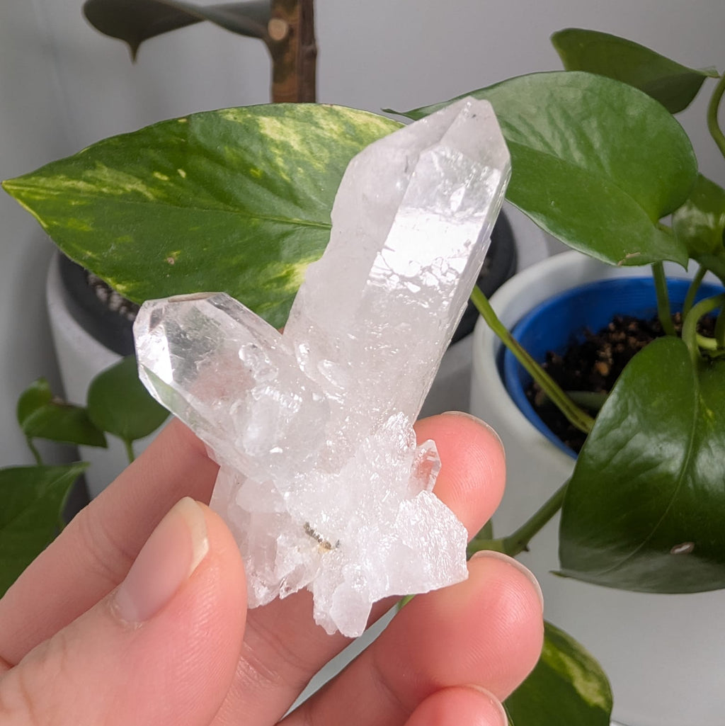 Clear Quartz Cluster