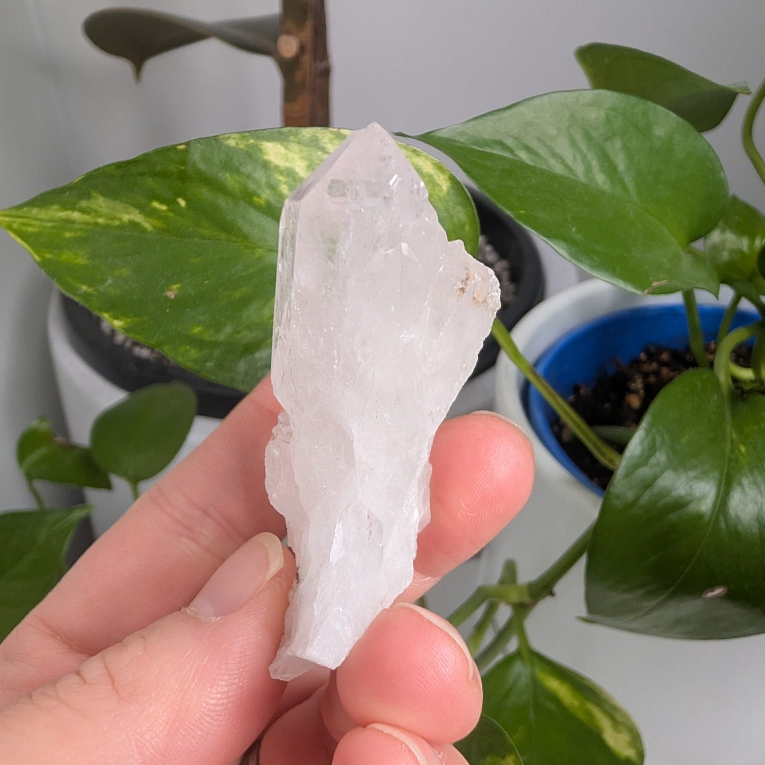 Clear Quartz Cluster