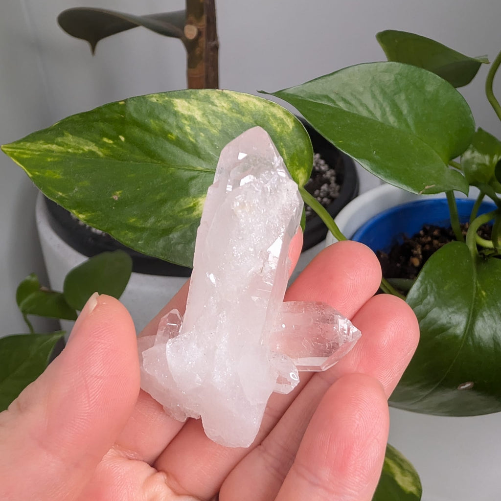 Clear Quartz Cluster