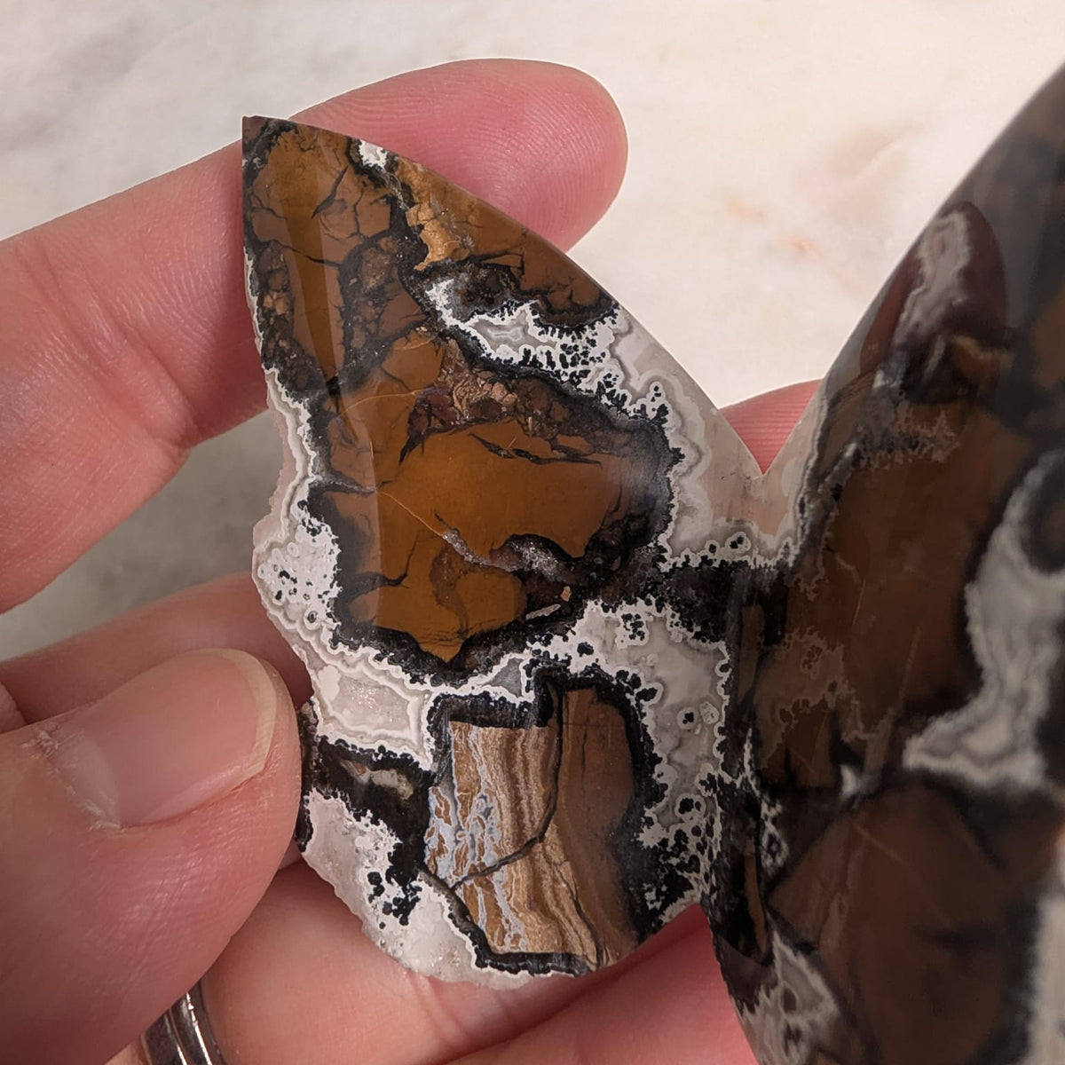 Brecciated Jasper Butterfly