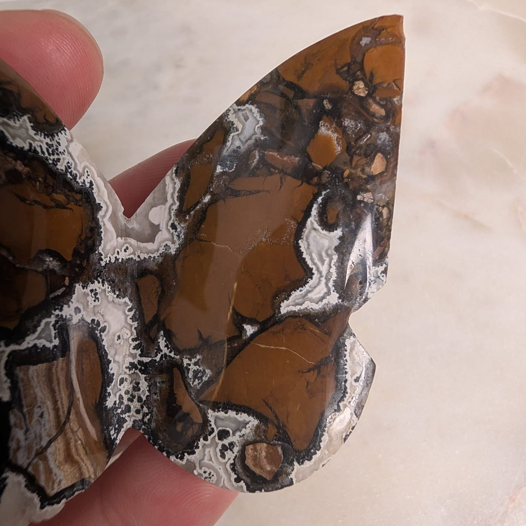 Brecciated Jasper Butterfly