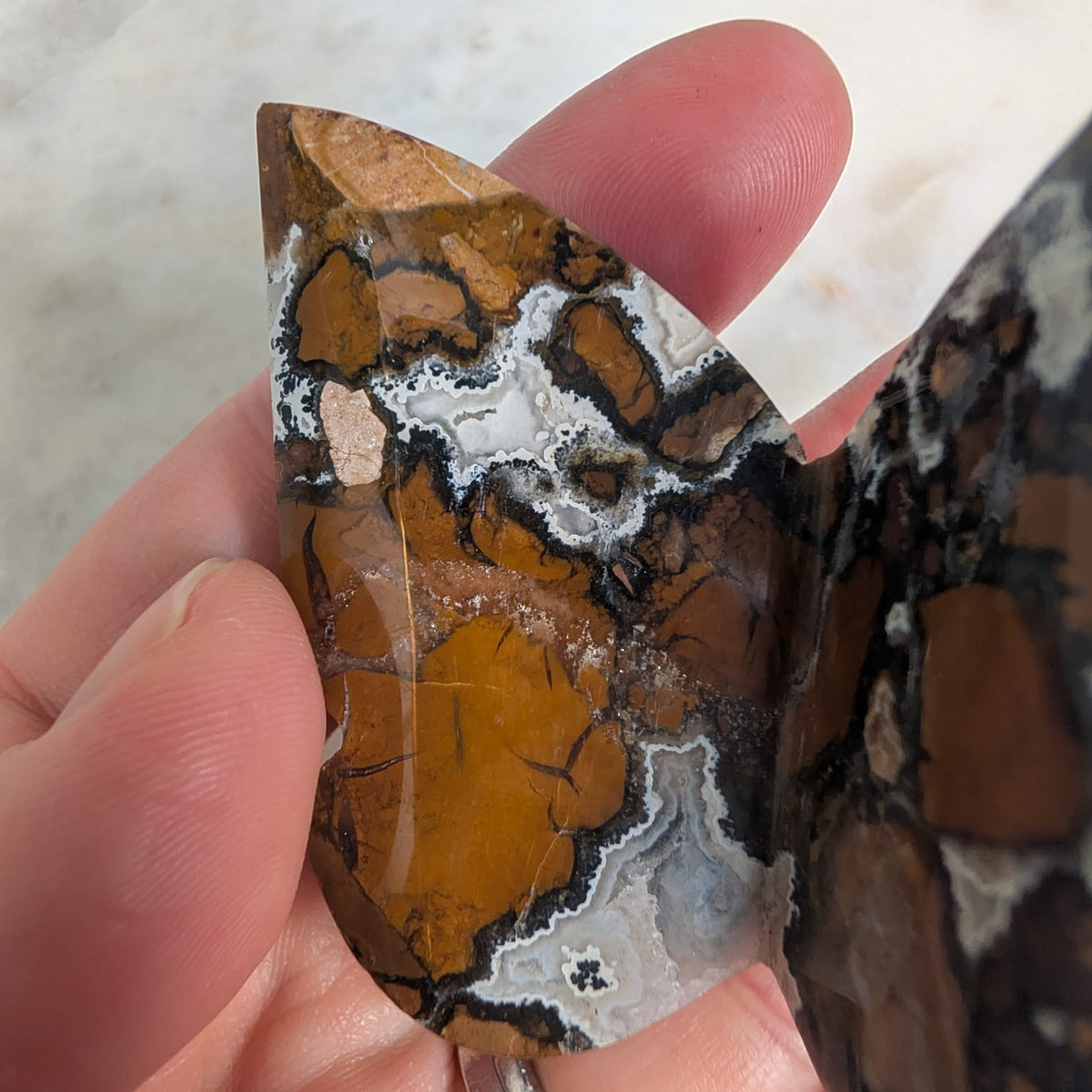 Brecciated Jasper Butterfly