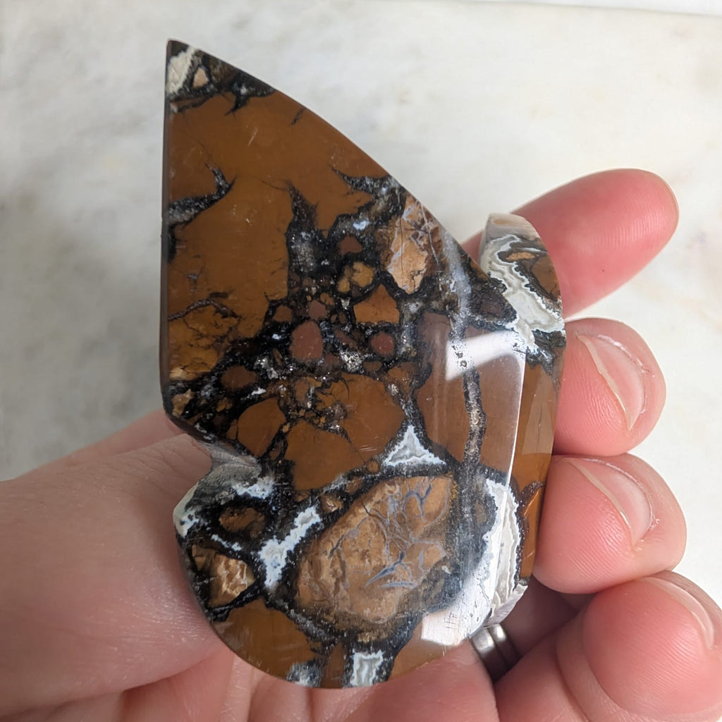 Brecciated Jasper Butterfly