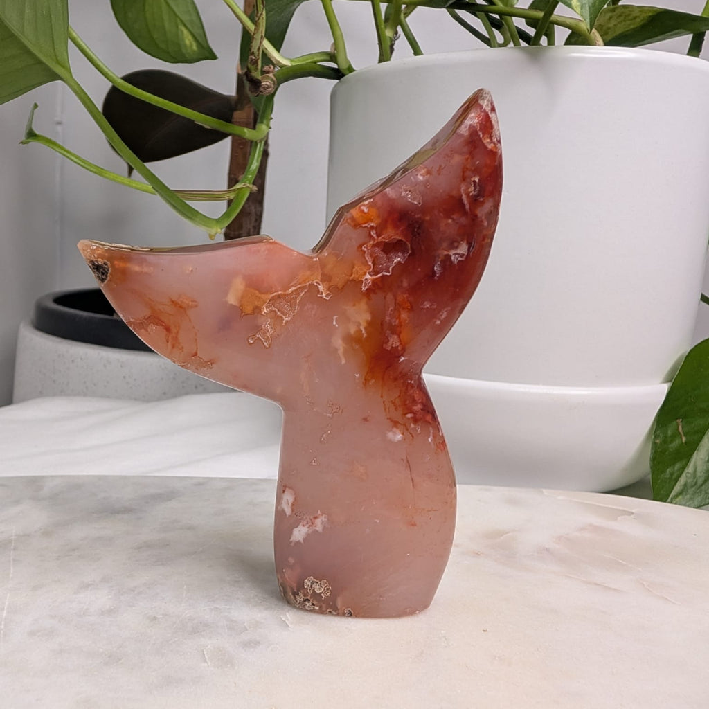 Carnelian Mermaid Tail