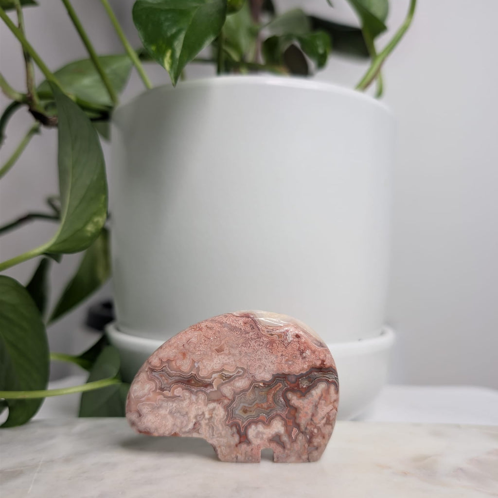 Crazy Lace Agate Bear