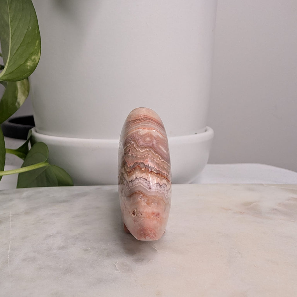 Crazy Lace Agate Bear
