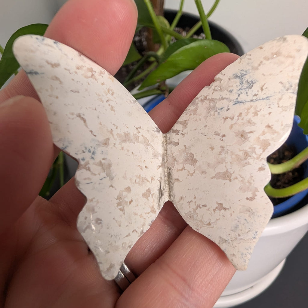 Plume Dendritic Agate Butterfly