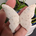 Plume Dendritic Agate Butterfly
