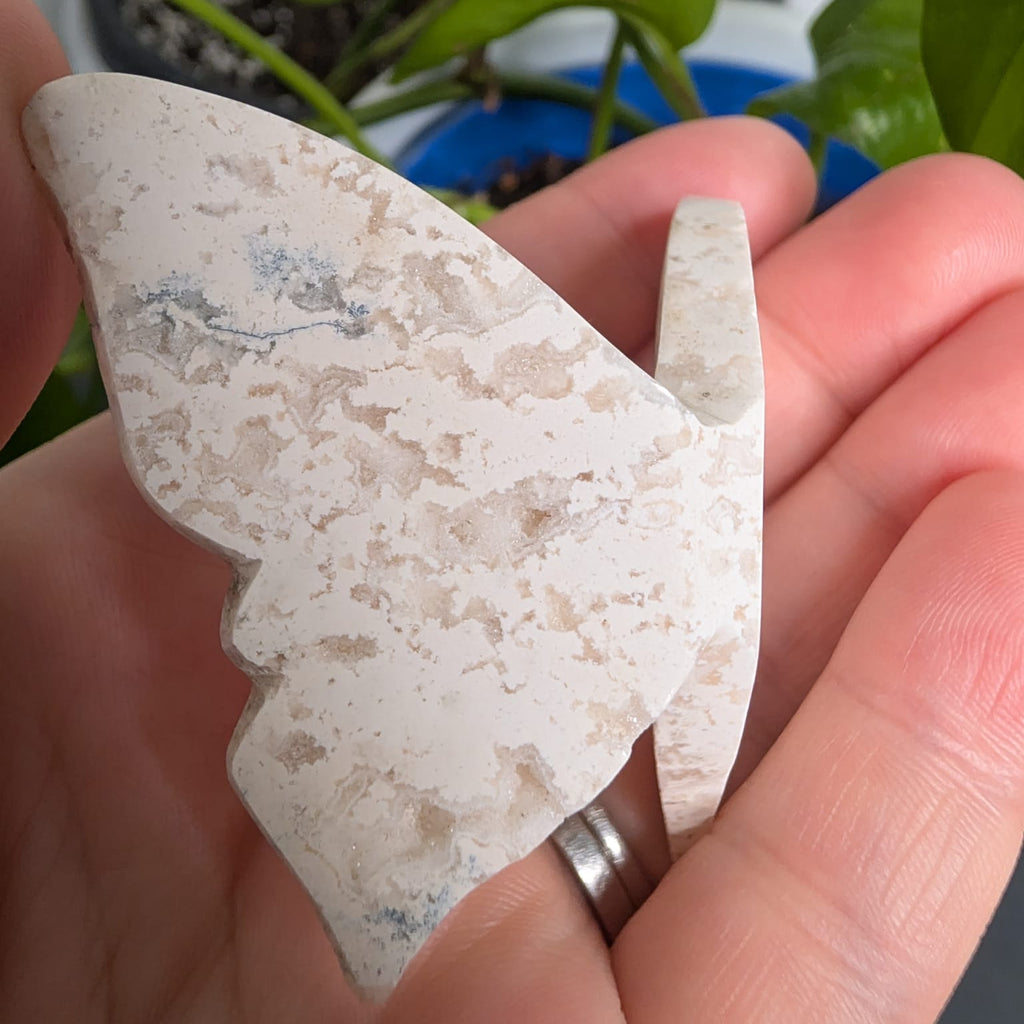 Plume Dendritic Agate Butterfly