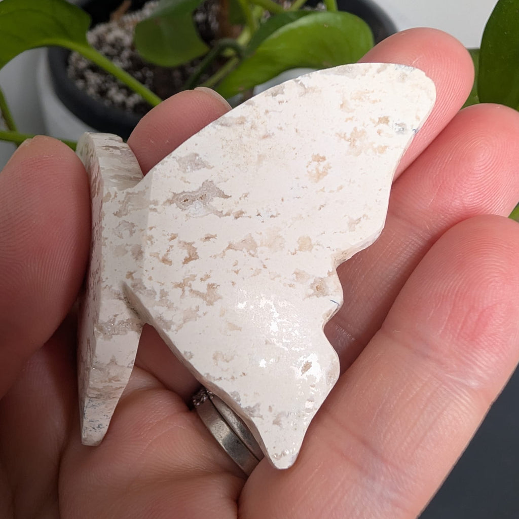 Plume Dendritic Agate Butterfly