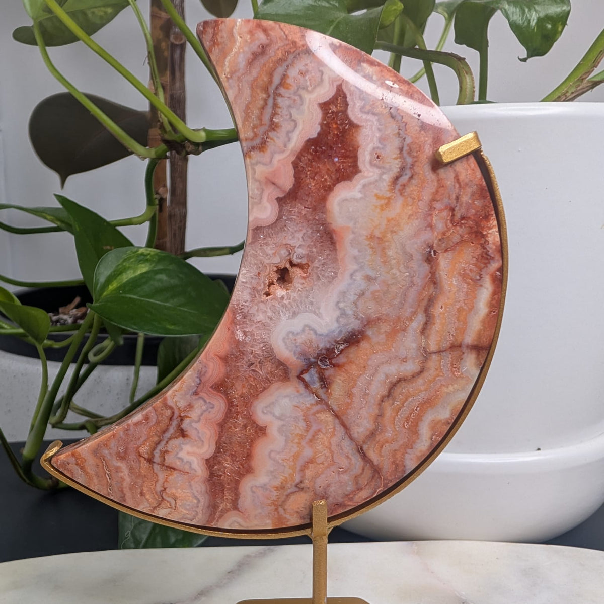Crazy Lace Agate Crescent Moon on Stand