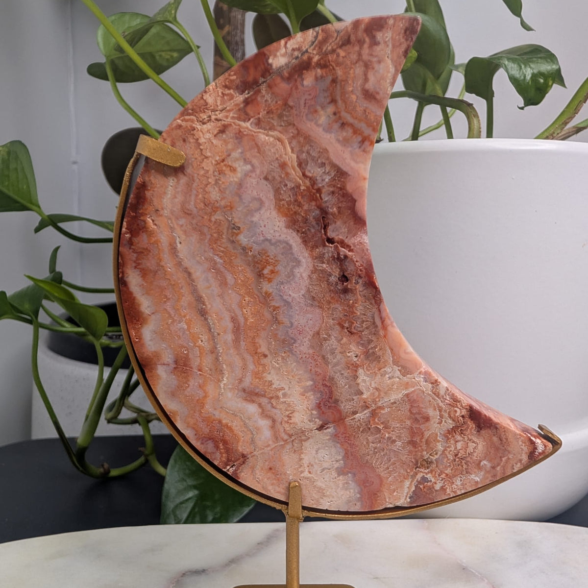 Crazy Lace Agate Crescent Moon on Stand