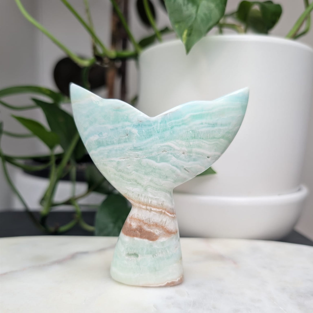 Caribbean Calcite Whale Tail