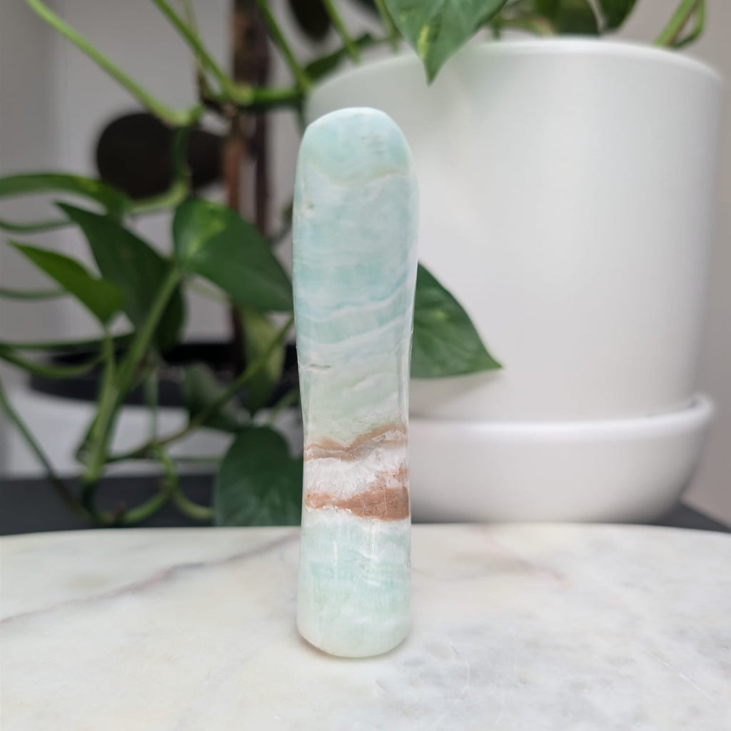 Caribbean Calcite Whale Tail