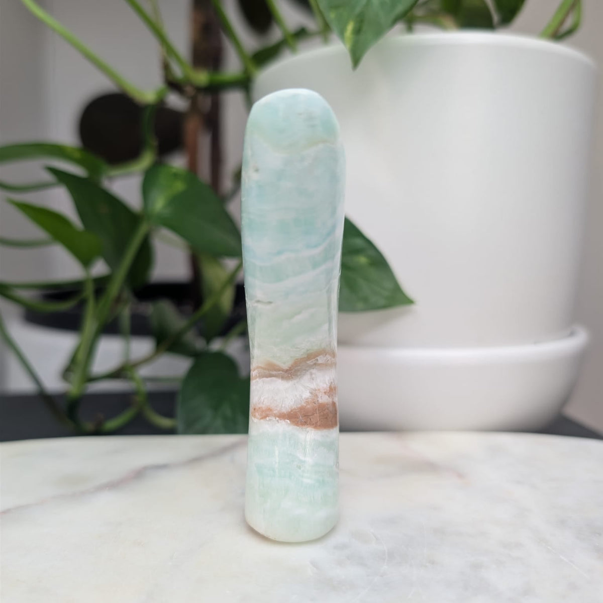 Caribbean Calcite Whale Tail